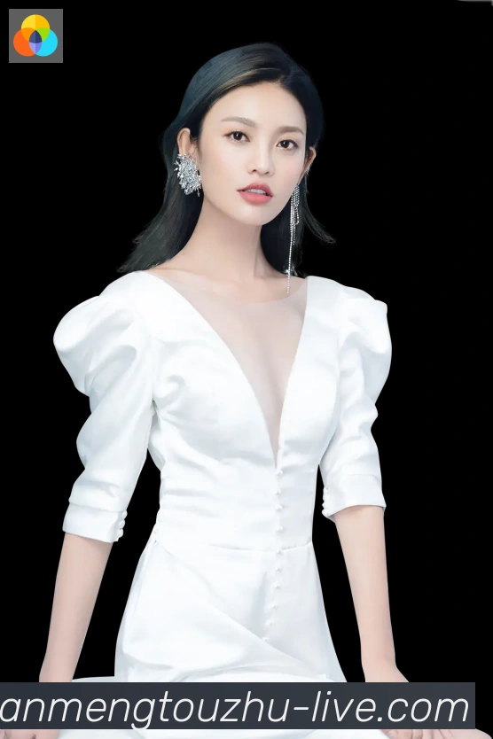 互动解说服务